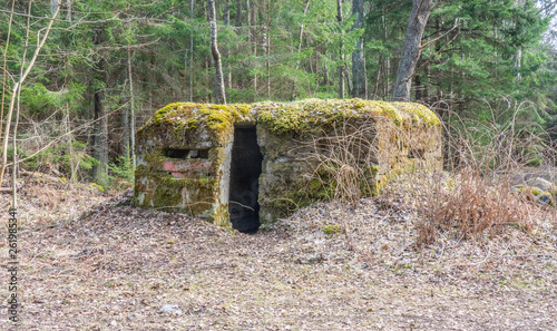 concrete ruins in foresr photo