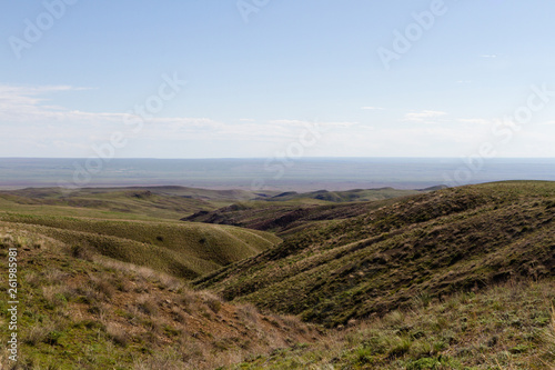 spring in the steppe of Kazakhstan