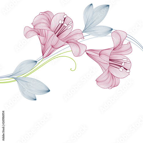 Spring background with lily flowers.