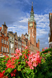 Gdansk city with town hall against flowers in Poland