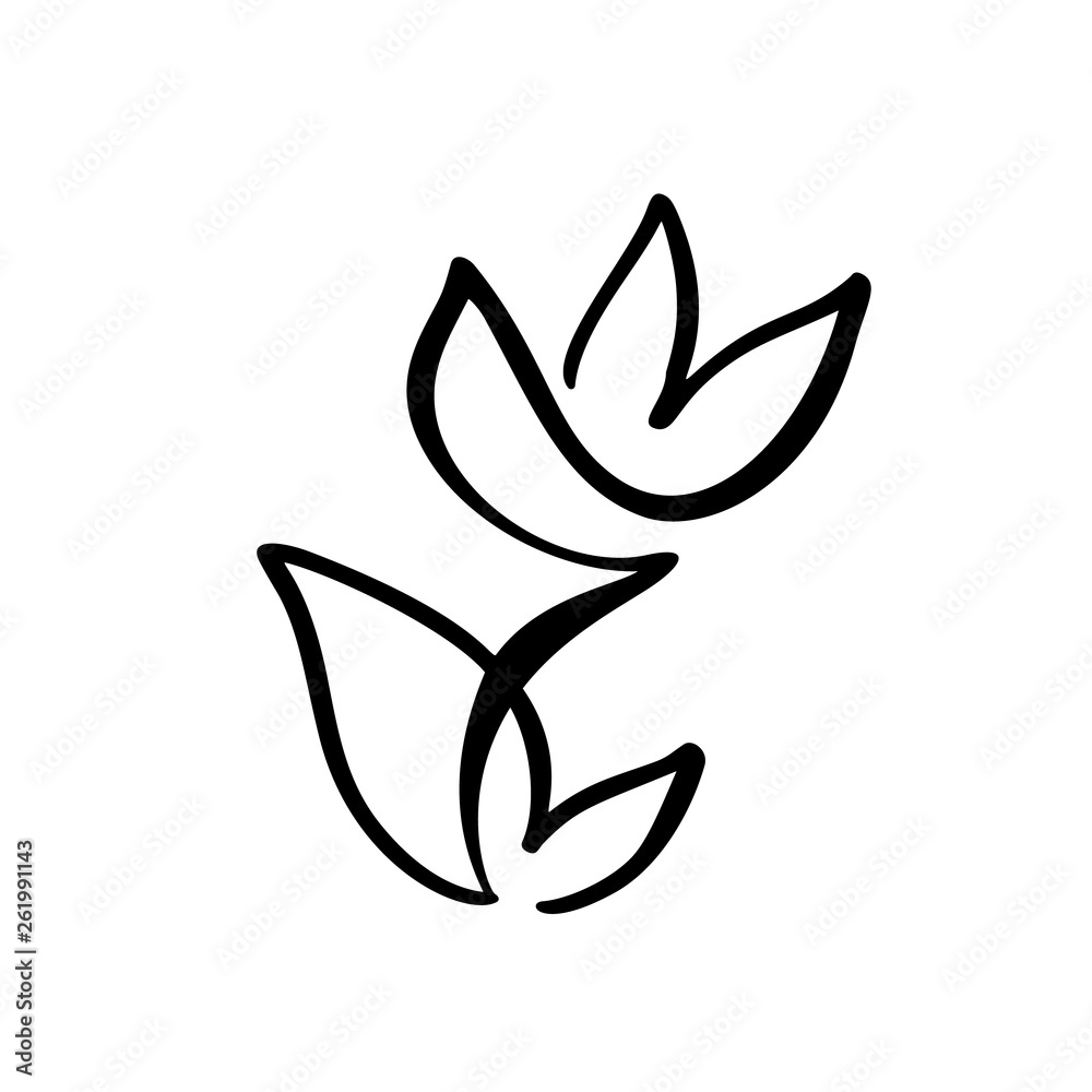 Tulip flower logo. Continuous line hand drawing calligraphic vector concept. Scandinavian spring floral design element in minimal style. black and white