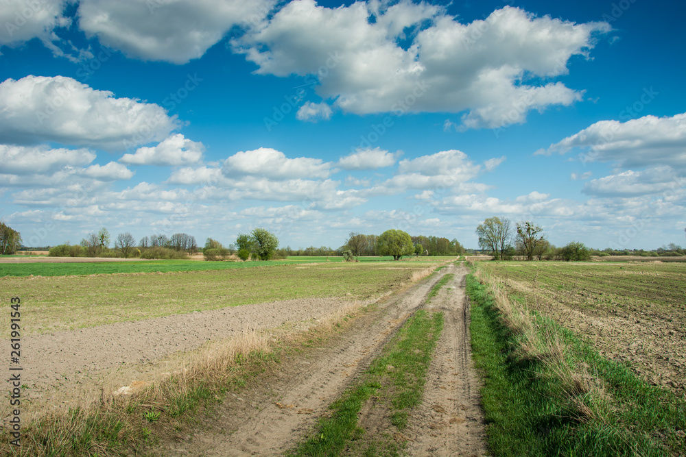Road through fields and white clouds on blue sky