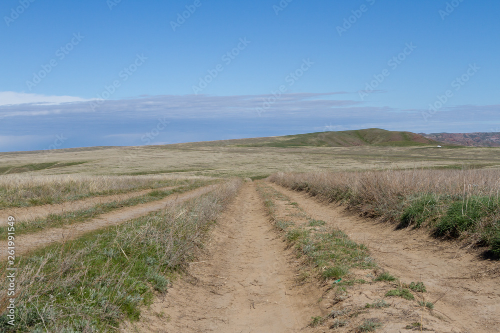 road in the steppe
