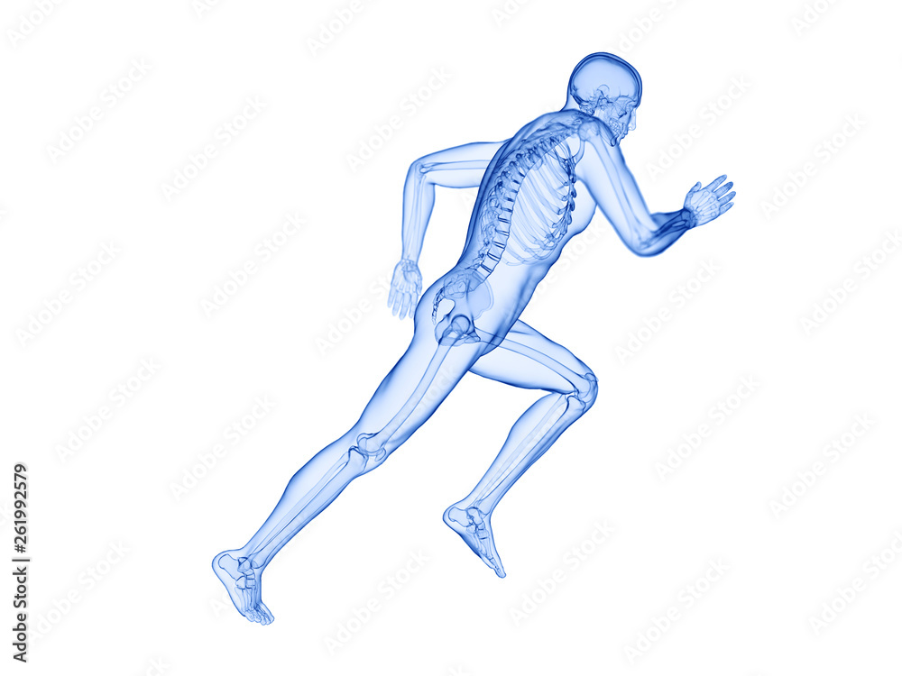 3d rendered illustration of a joggers skeleton 3d rendered illustration of a joggers skeleton