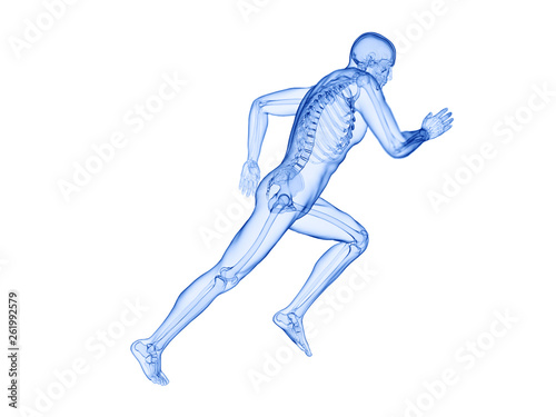 3d rendered illustration of a joggers skeleton