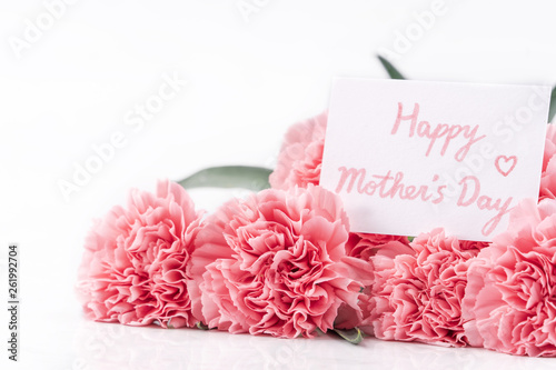 Top view front, copy space, close up, mock up, clipping path. Mothers day concept design. Beautiful fresh blooming baby pink color carnations isolated on bright white background.
