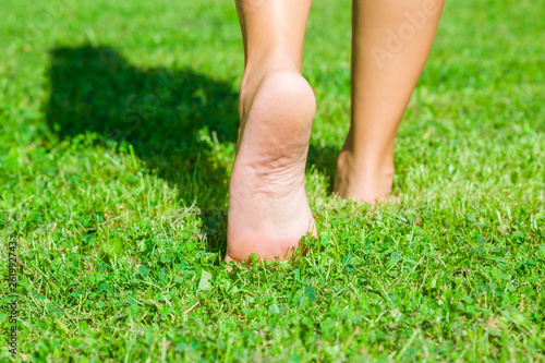 Young woman barefoot walking on fresh, green grass in sunny summer in morning. Shadow of girl. Restful moment. Healthy lifestyle. Bright color. Closeup. Low angle. Back view. © fotoduets