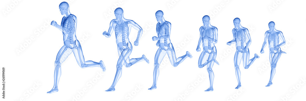 3d rendered illustration of a running mans skeleton 3d rendered illustration of a running mans skeleton