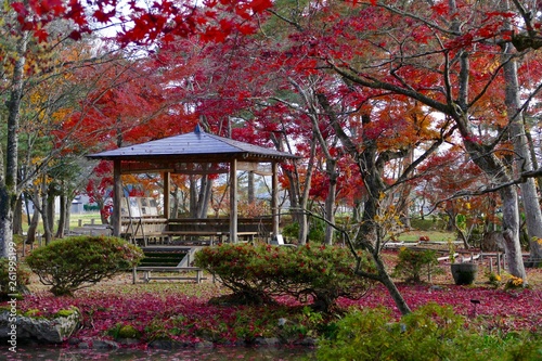 《池田氏庭園 払田分家》秋田県大仙市 © SHIRAKAMI