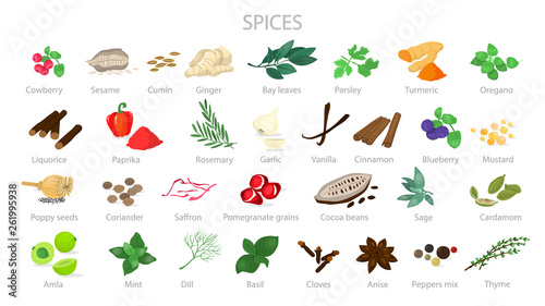 Spice for cooking the delicious food collection