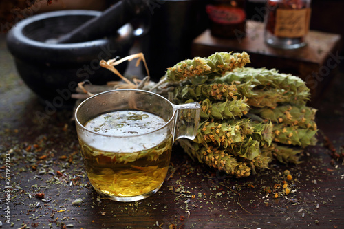 Obraz na plátně Healing herbal tea. An infusion of lebanese sage.