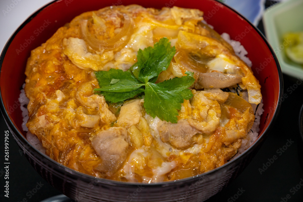  Chicken and egg on rice