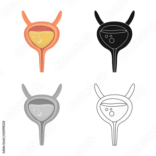 Vector design of incontinence and bladder symbol. Set of incontinence and urine  stock symbol for web.