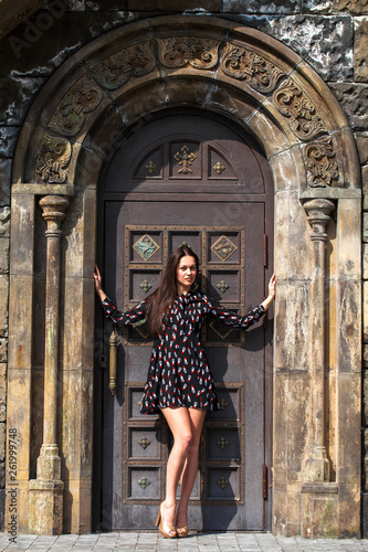 Portrait young beautiful brunette woman in dress posing against the backdrop of an old castle in the Gothic style