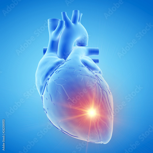 Fotografie 3d rendered medically accurate illustration of a blue human heart