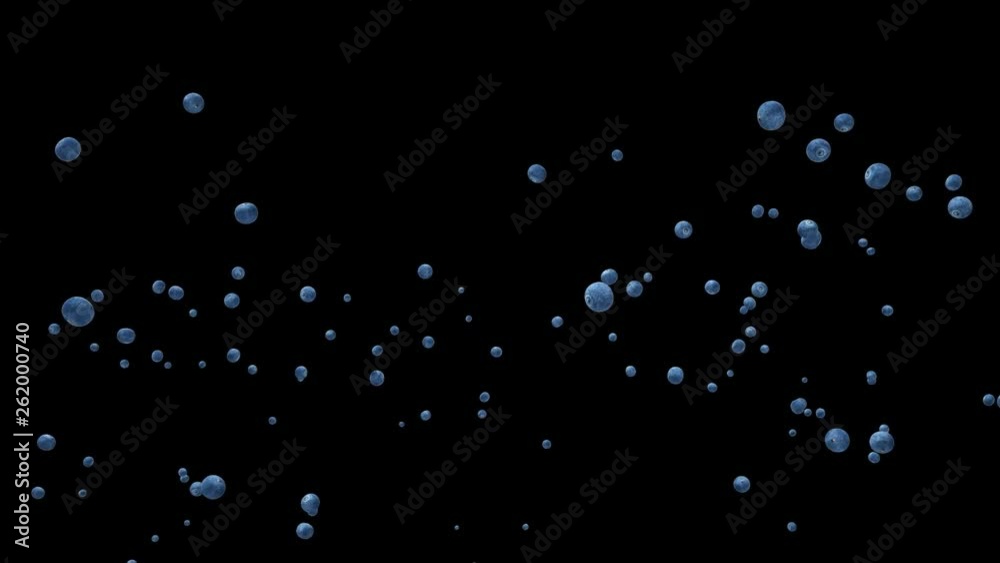 Blueberries flying in slow motion, Alpha Channel Blueberries flying in slow motion, Alpha Channel