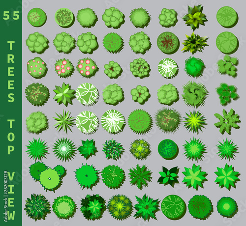 Different trees top view. View from above set for architectural and landscape natural green space design. Vector