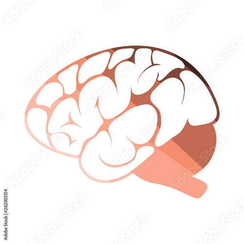 Brain icon