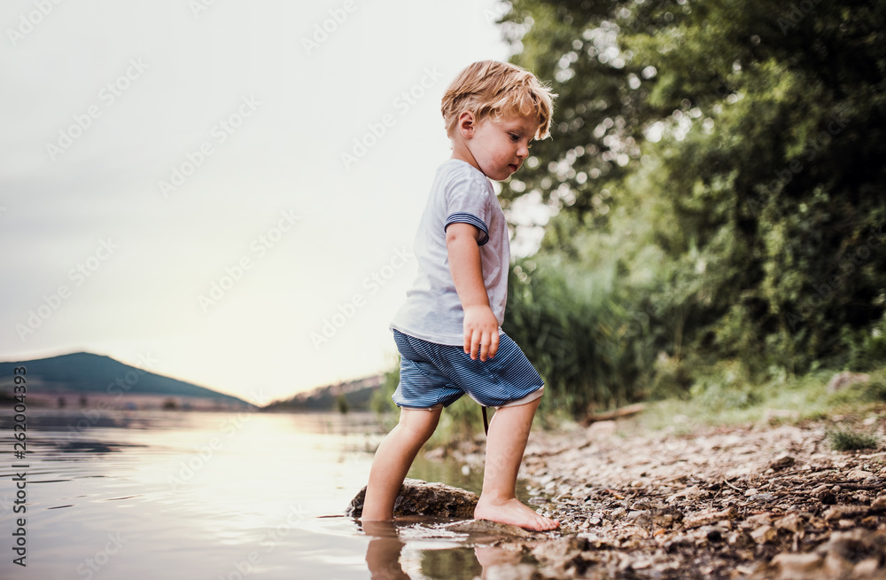 A wet, small toddler boy standing outdoors in a river in summer, playing.