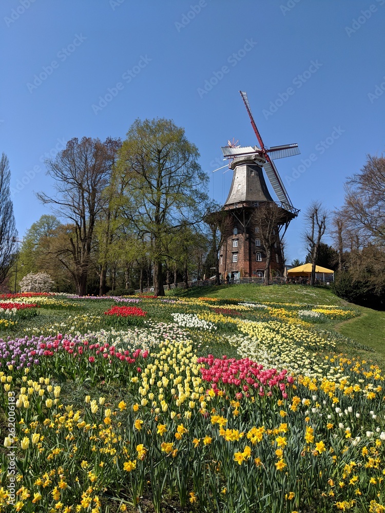 Bremen - Mühle im Frühling 2019