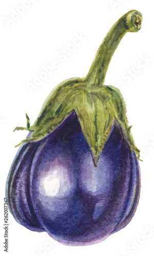 Fresh Eggplant vegetable with stem or aubergine