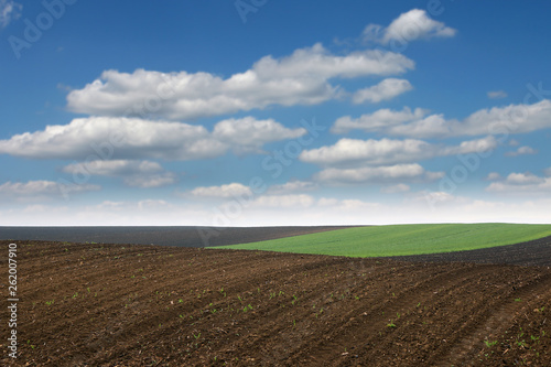 Wallpaper Mural Plowed field in spring agriculture Voivodina Serbia landscape Torontodigital.ca