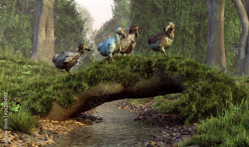 A flock of dodo birds waddles over a natural log bridge that has fallen over a stream and grown mossy. The now extinct animals once inhabited the island of Mauritia. 3D Rendering