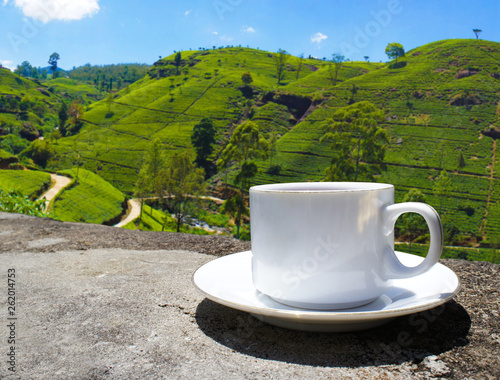 Sri Lanka tea hills. Tea cup and plantation.