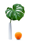 A green palm leaf in a white vase with an orange