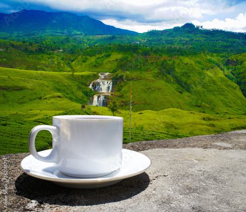 Sri Lanka tea hills. Tea cup and plantation. photo