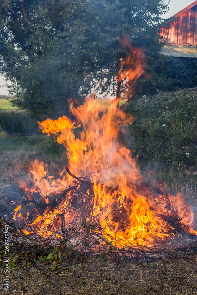 Farmer burns green wastes in bonfire, agriculture and bonfire concept Farmer burns green wastes in bonfire, agriculture and bonfire concept