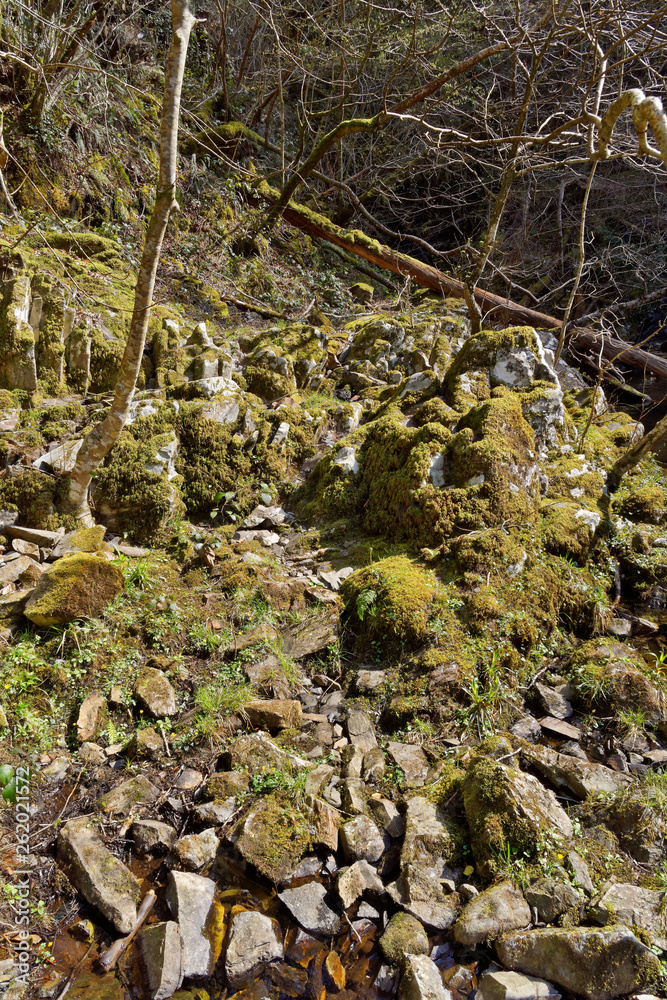 Green shore stream in the mountains of Snowdonia, Wales. Green shore stream in the mountains of Snowdonia, Wales.
