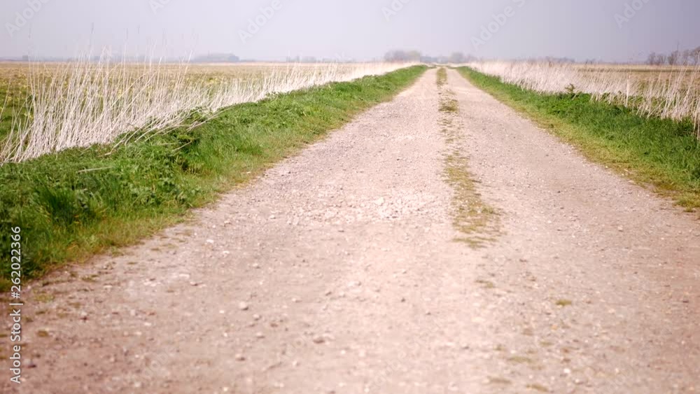 Gravel road between two fields. Gravel road between two fields.