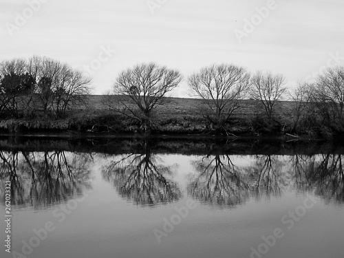 Arboles reflejados