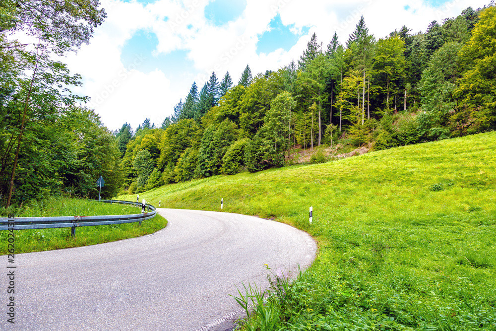Fototapeta premium Tarred road winding through lush green countryside