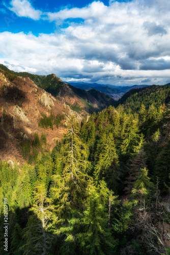 Panoramic landscape from spring rainy mountain