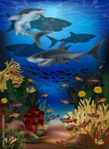 Underwater banner with sharks and tropical fish, vector illustration