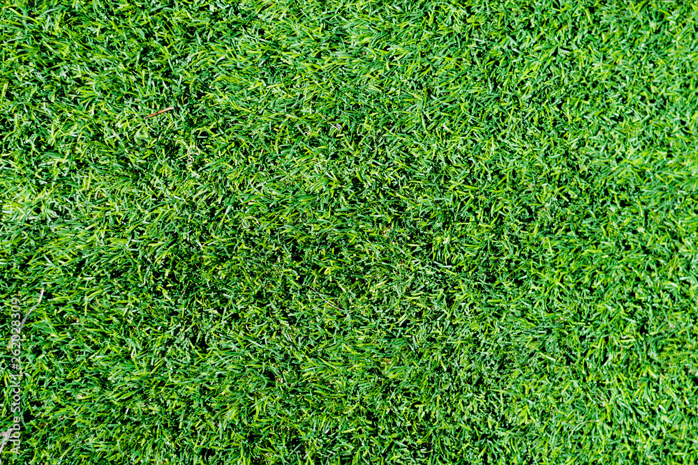 Fototapeta premium Green artificial grass .