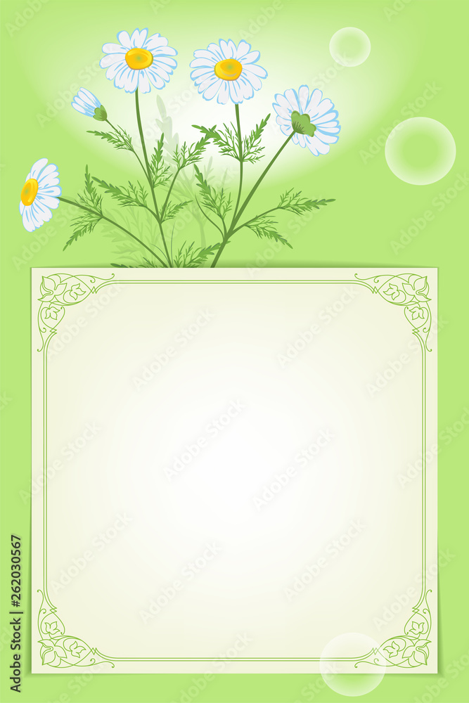 Card template with pink daisy flowers and a piece of paper with ornate square frame. Card template with pink daisy flowers and a piece of paper with ornate square frame.