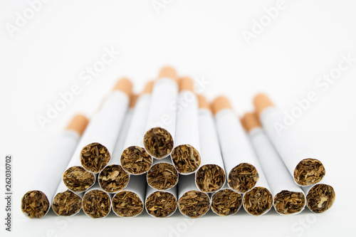 Cigars on white background. Filtered cigarettes. Tobacco.