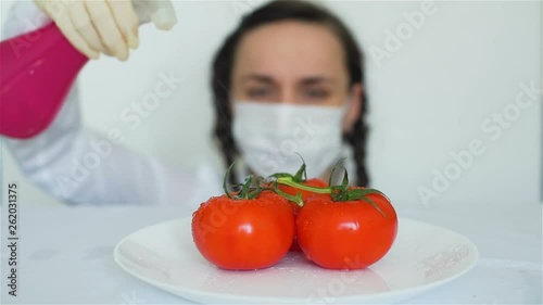 Woman Spraying GMO Tomatoes with Chemicals photo