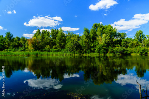 Fototapeta Naklejka Na Ścianę i Meble -  Summer landscape with the green trees and river