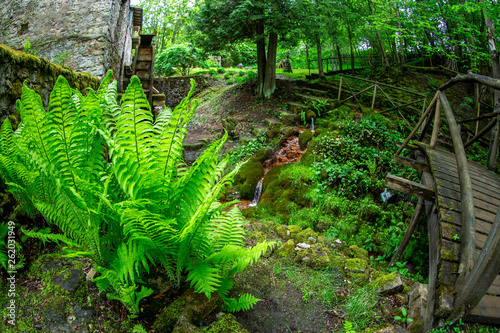 Ferns  bridge and mill in the old park