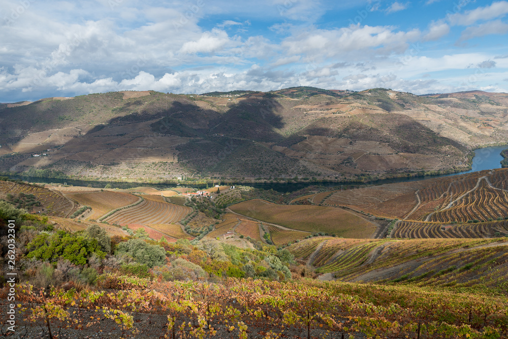 Naklejka premium Douro - Portugal