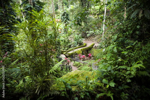 Green garden at Goa Gajah E...