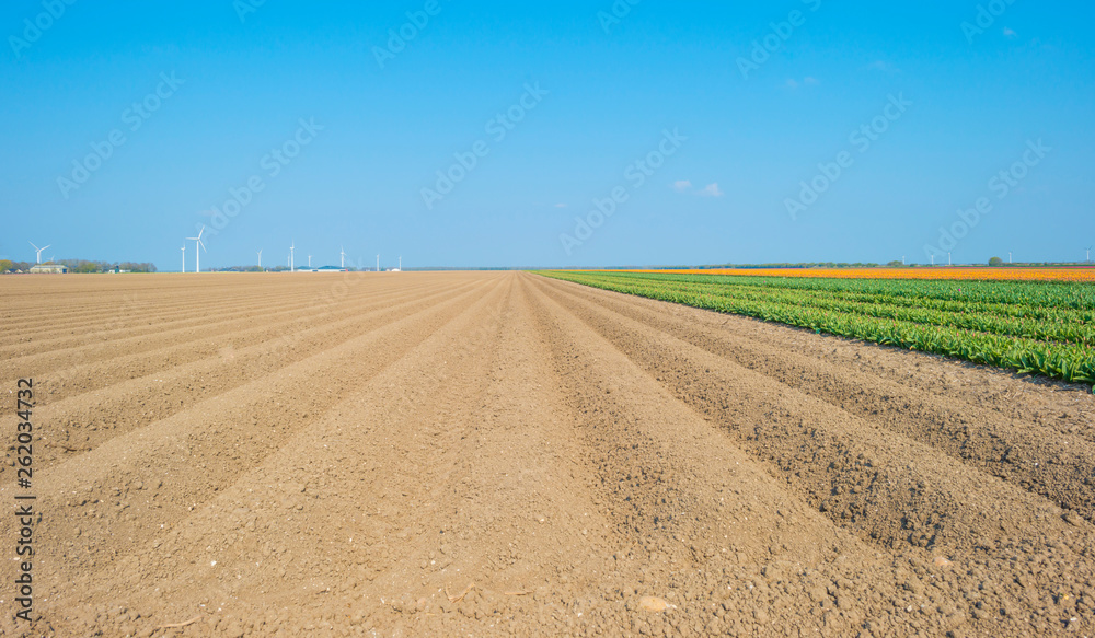 Furrows in a plowed field below a blue sky in sunlight in spring