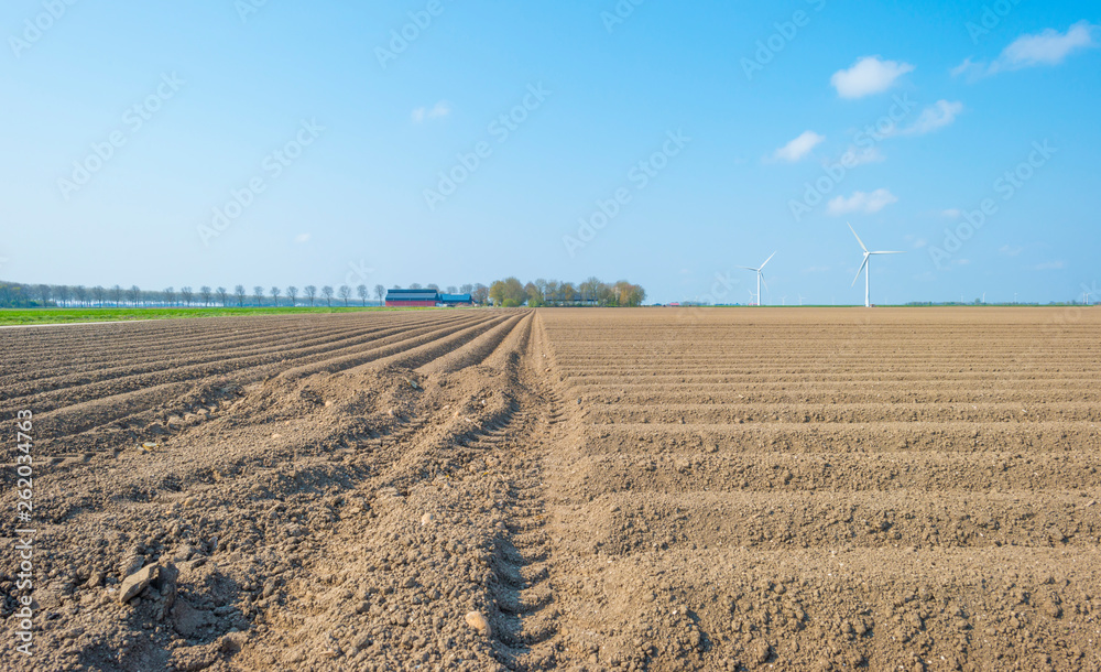 Furrows in a plowed field below a blue sky in sunlight in spring