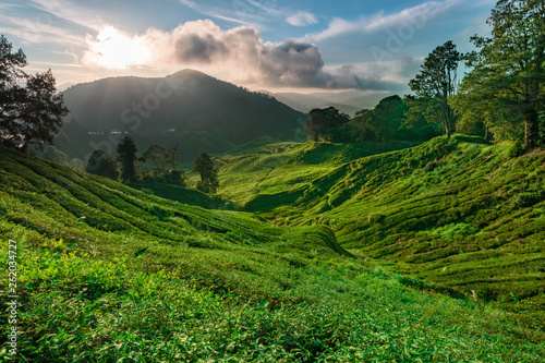 higlands