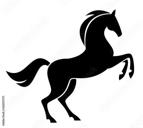 Jumping horse on a white background