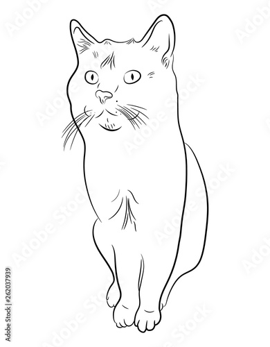 Cat hand-drawn outline, circuit. Vector illustration isolated on white background.